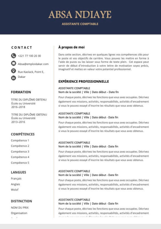 Exemple de CV Simple  4 Modèles Gratuits à Télécharger [Word & PDF]