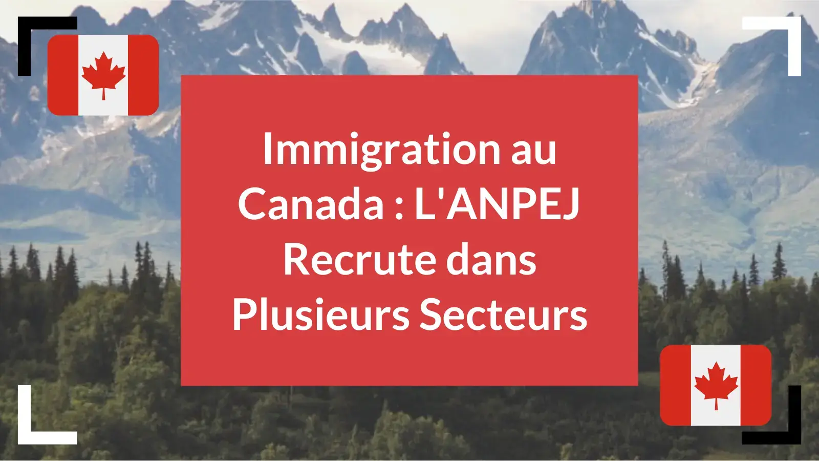 Immigration Au Canada L Anpej Recrute Dans Plusieurs Secteurs